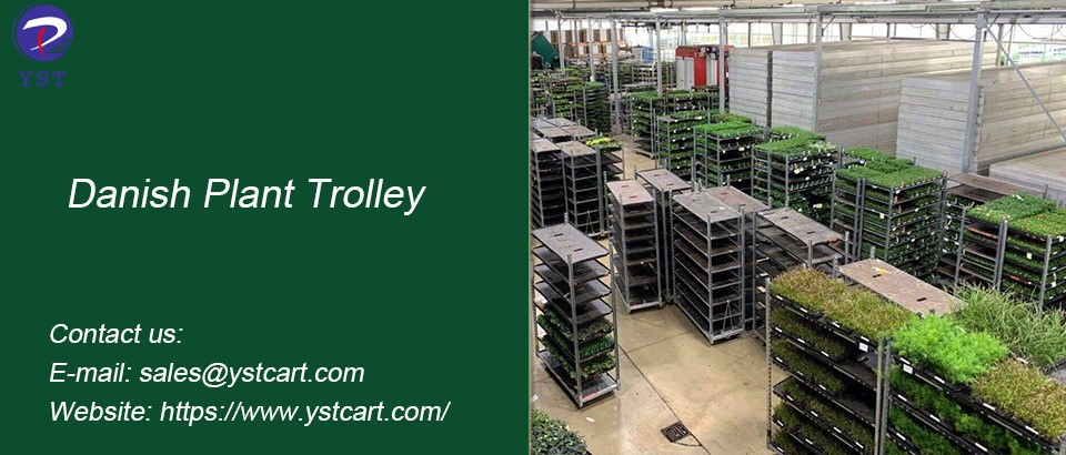 Danish Plant Trolley-13 Danish Plant Trolley-13